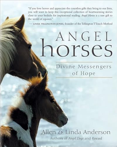 Stock image for Angel Horses: Divine Messengers of Hope for sale by Your Online Bookstore