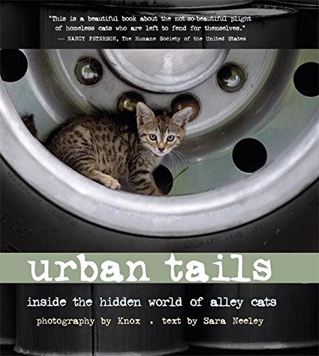 Stock image for Urban Tails: A Glimpse Inside the Hidden World of Alley Cats for sale by M & M Books