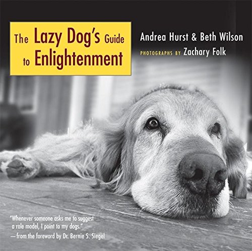 Stock image for The Lazy Dog's Guide to Enlightenment for sale by ThriftBooks-Atlanta