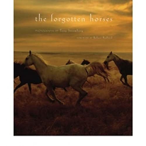 Imagen de archivo de The Forgotten Horses a la venta por HPB-Diamond