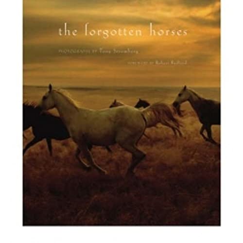 The Forgotten Horses (9781577316152) by Stromberg, Tony; Redford, Robert