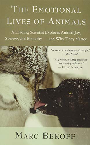 Stock image for The Emotional Lives of Animals: A Leading Scientist Explores Animal Joy, Sorrow, and Empathy and Why They Matter for sale by KuleliBooks