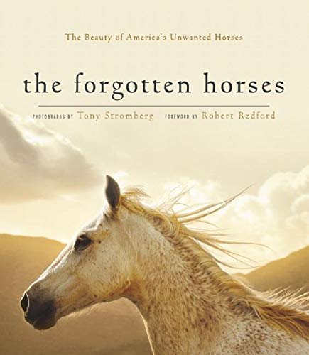 Stock image for The Forgotten Horses: The Beauty of America's Unwanted Horses for sale by ThriftBooks-Atlanta
