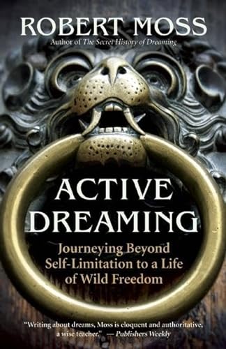 Imagen de archivo de Active Dreaming: Journeying Beyond Self-Limitation to a Life of Wild Freedom a la venta por BooksRun