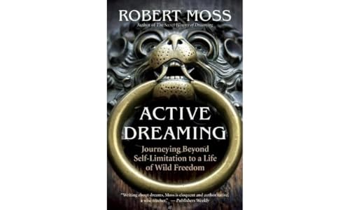 Stock image for Active Dreaming: Journeying Beyond Self-Limitation to a Life of Wild Freedom for sale by BooksRun