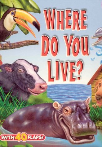 Stock image for Where Do You Live? (Big Fun! Super Flap Book) for sale by SecondSale