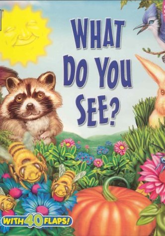 Stock image for What Do You See? (Big Fun! Super Flap Book) for sale by Irish Booksellers