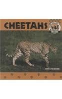 Beispielbild fr Cheetahs zum Verkauf von Better World Books: West