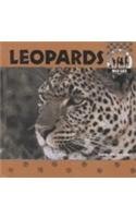 Beispielbild fr Leopards (Wild Cats) zum Verkauf von Hawking Books