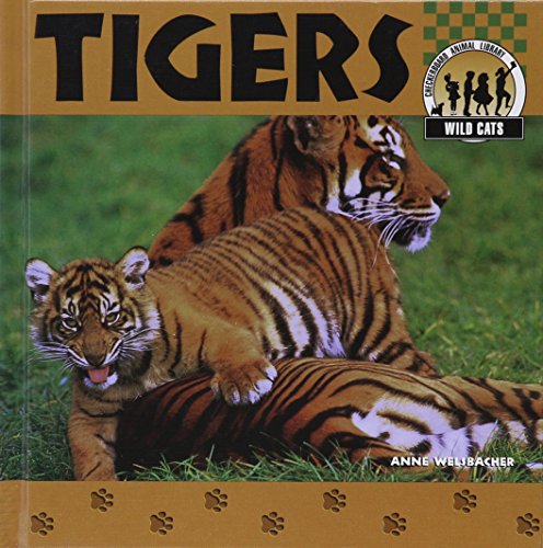 Beispielbild fr Wild Cats Tigers zum Verkauf von ThriftBooks-Dallas