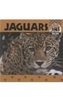 Imagen de archivo de Jaguars (Wild Cats) a la venta por SecondSale
