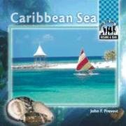 Stock image for Caribbean Sea (Oceans and Seas) for sale by BookHolders