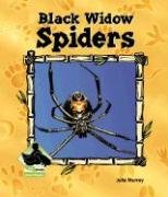 Beispielbild fr Black Widow Spiders zum Verkauf von ThriftBooks-Atlanta