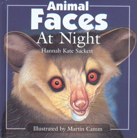 Imagen de archivo de Animal Faces at Night a la venta por Better World Books: West