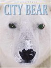Beispielbild fr City Bear zum Verkauf von Wonder Book