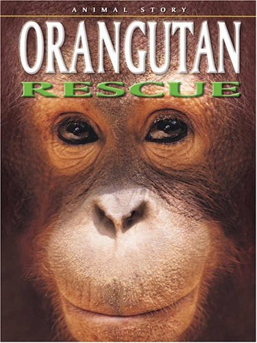 Stock image for Orangutan Rescue for sale by Ergodebooks