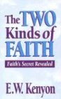 Stock image for Two Kinds Of Faith for sale by ZBK Books