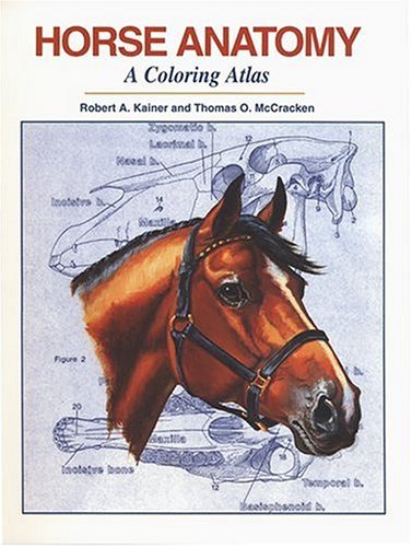 Stock image for Horse Anatomy : A Coloring Atlas for sale by Wonder Book