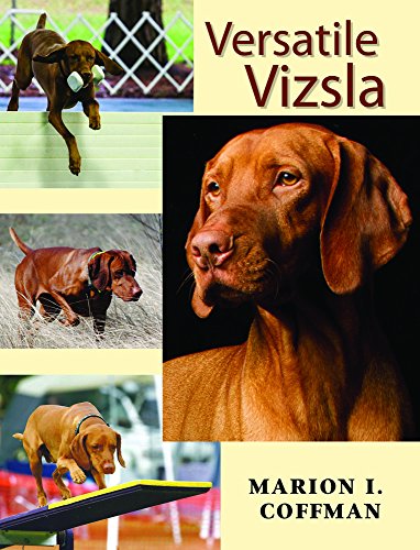Stock image for Versatile Vizsla for sale by ThriftBooks-Atlanta
