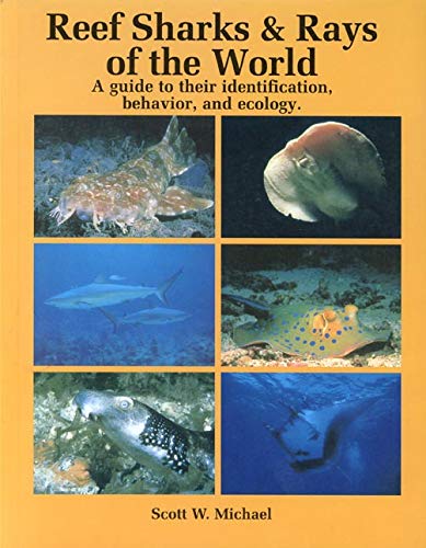 9781577855385: Reef Sharks and Rays of the World: Guide to Their Identification, Behaviour and Ecology