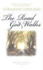 9781577942993: Road God Walks