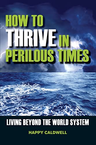 Imagen de archivo de How to Thrive in Perilous Times: Living Beyond the World System a la venta por SecondSale