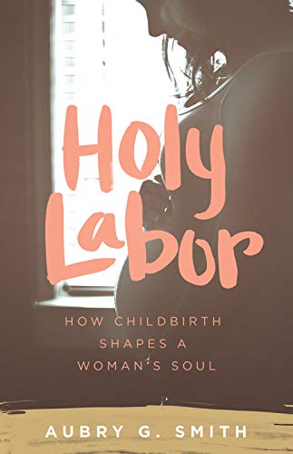Imagen de archivo de Holy Labor: How Childbirth Shapes a Womans Soul a la venta por Goodwill Industries
