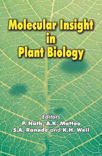 Stock image for Molecular Insight in Plant Biology for sale by Richard Booth's Bookshop