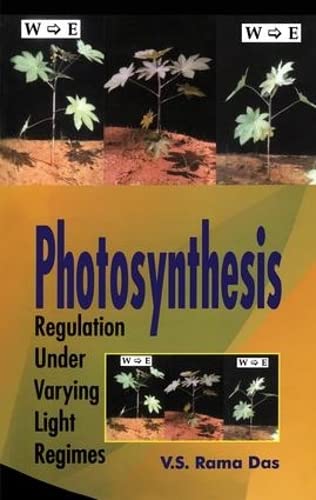 Stock image for Photosynthesis for sale by Blackwell's