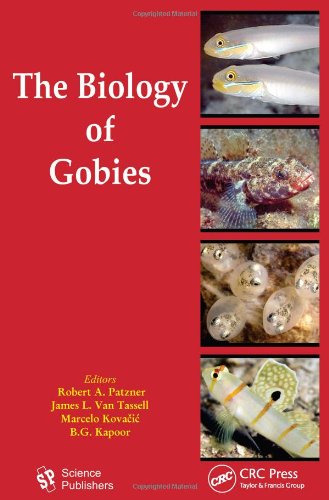 Stock image for The Biology of Gobies for sale by Chiron Media
