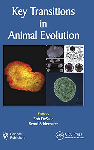 Stock image for Key Transitions in Animal Evolution for sale by Books Puddle