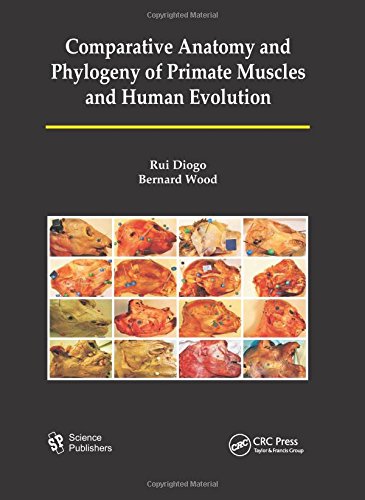 9781578087679: Comparative Anatomy and Phylogeny of Primate Muscles and Human Evolution