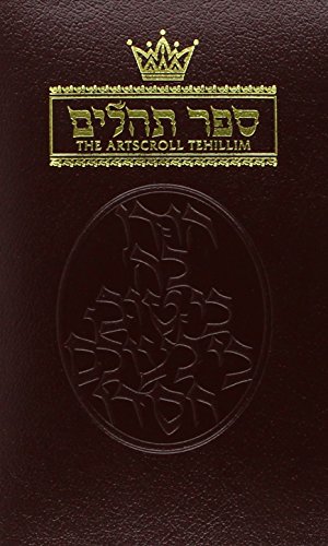 Tehillim / Psalms, Vol. 1 (9781578199396) by Rabbi Hillel Danziger