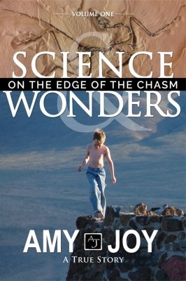 Beispielbild fr Science & Wonders: On the Edge of the Chasm zum Verkauf von SecondSale