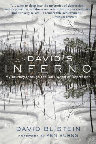 Imagen de archivo de David's Inferno: My Journey Through the Dark Wood of Depression a la venta por Streamside Books
