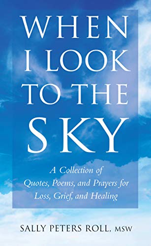 Stock image for WhenILooktotheSky Format: Paperback for sale by INDOO