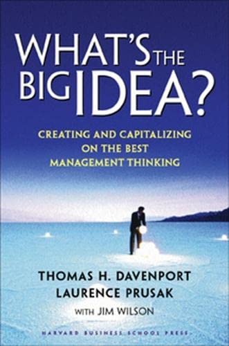 Imagen de archivo de What's the Big Idea? Creating and Capitalizing on the Best New Management Thinking a la venta por SecondSale