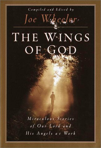 Stock image for The Wings of God: Miraculous Stories of Our Lord and His Angels at Work for sale by SecondSale