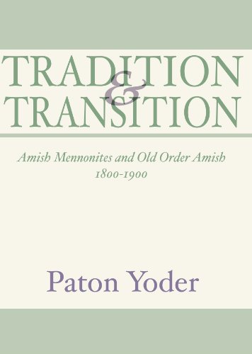 Stock image for Tradition and Transition for sale by GF Books, Inc.