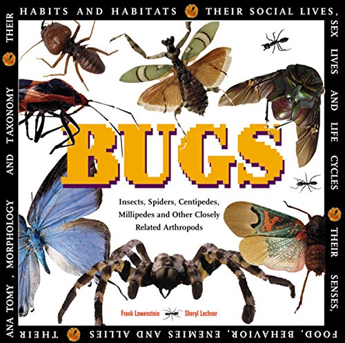 Stock image for Bugs: Insects, Spiders, Centipedes, Millipedes, and Other Closely Related Arthropods for sale by Front Cover Books
