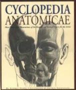Beispielbild fr Cyclopedia Anatomicae : More Than 1,500 Illustrations of the Human and Animal Figure for the Artist zum Verkauf von Better World Books: West