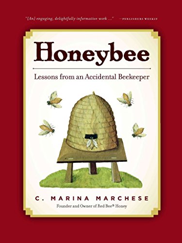 Imagen de archivo de Honeybee : Lessons from an Accidental Beekeeper a la venta por Better World Books