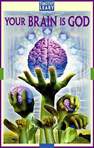 Imagen de archivo de Your Brain Is God a la venta por ThriftBooks-Dallas
