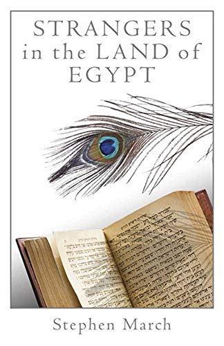Imagen de archivo de Strangers in the Land of Egypt a la venta por ThriftBooks-Atlanta