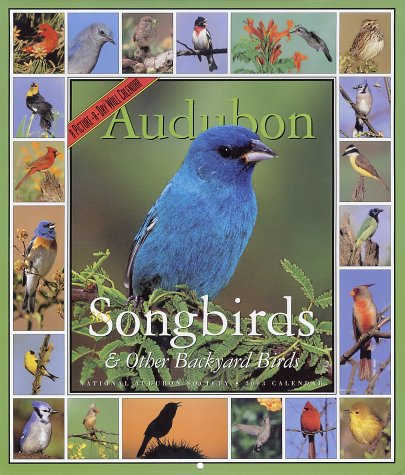 Beispielbild fr Audubon 365 Songbirds and Other Backyard Birds Calendar 2003 zum Verkauf von Ergodebooks