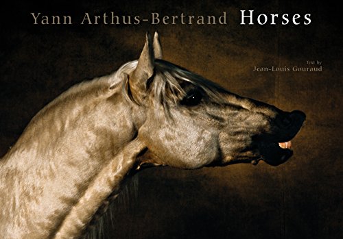 Beispielbild fr Horses zum Verkauf von Zoom Books Company