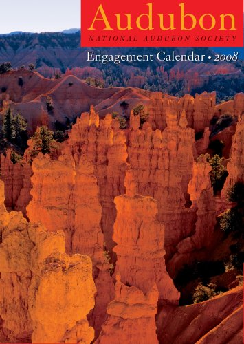 9781579653279: Audubon Engagement Calendar 2008