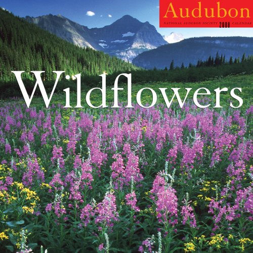 Audubon Wildflowers Calendar 2008 (9781579653316) by National Audubon Society