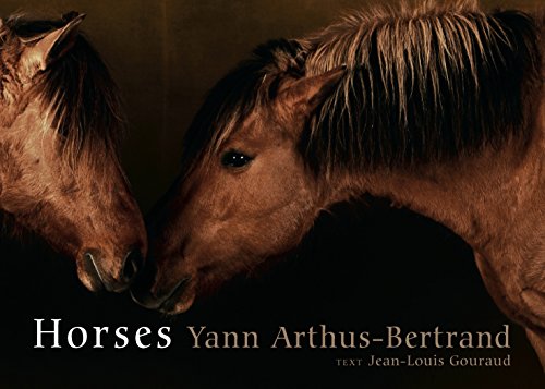 Beispielbild fr Horses zum Verkauf von Goodwill Books