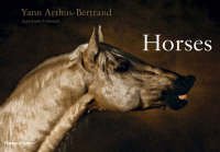Imagen de archivo de Horses a la venta por Irish Booksellers
